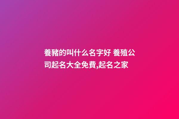 養豬的叫什么名字好 養殖公司起名大全免費,起名之家-第1張-公司起名-玄機派